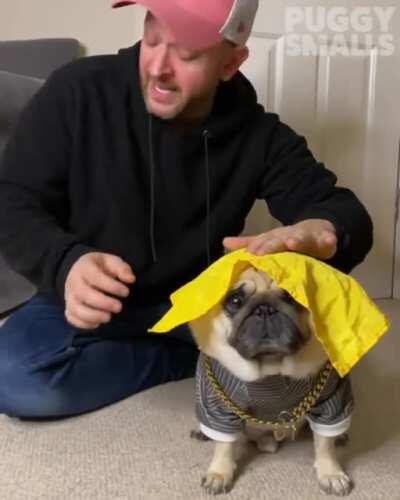 Lil one cracked me up, figured it should be shared here