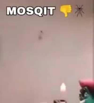 least based mosquito hater