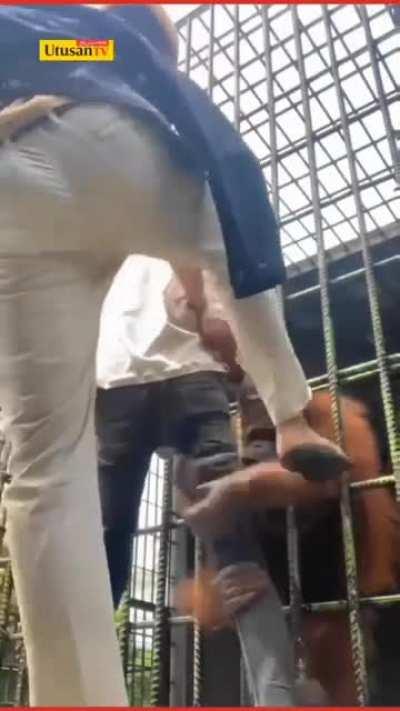 influencer facing the consequence of making content at a no-entry zone in the zoo.