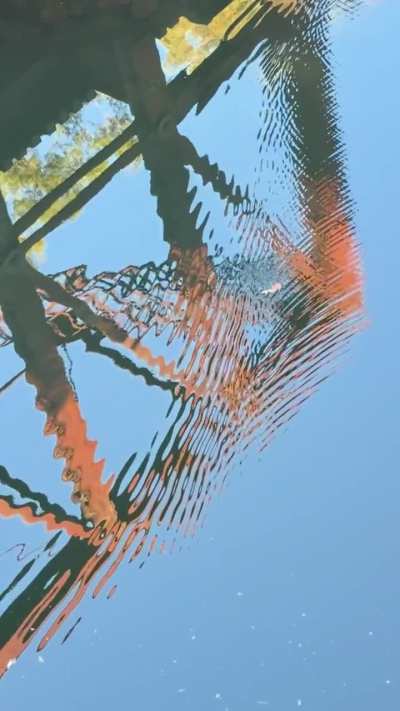 Seeing it live calmed me right down; watching the video, even more so