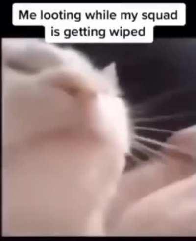 Just a br meme while waiting for the update desperately