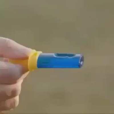 A treat for the whole family