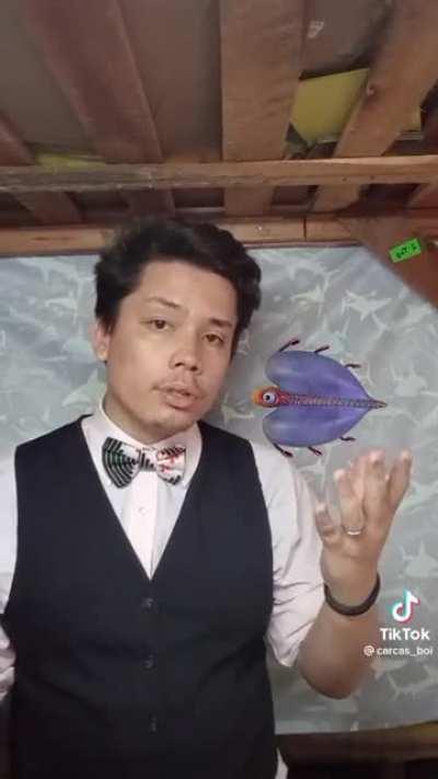 we have talk about subnautica ( hope no Repost)