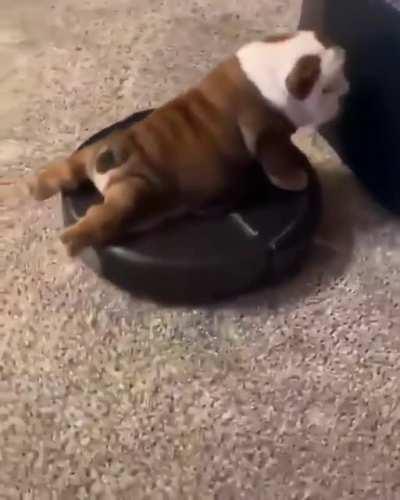 Riding around minding my business