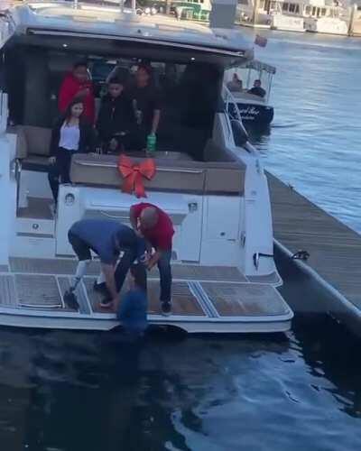 HMC while i walk around this yacht drunk.