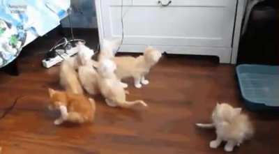 That was a high jump.