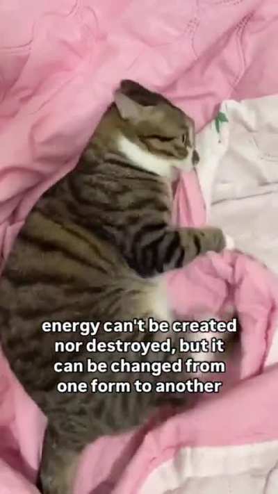 Energy conversion wunk