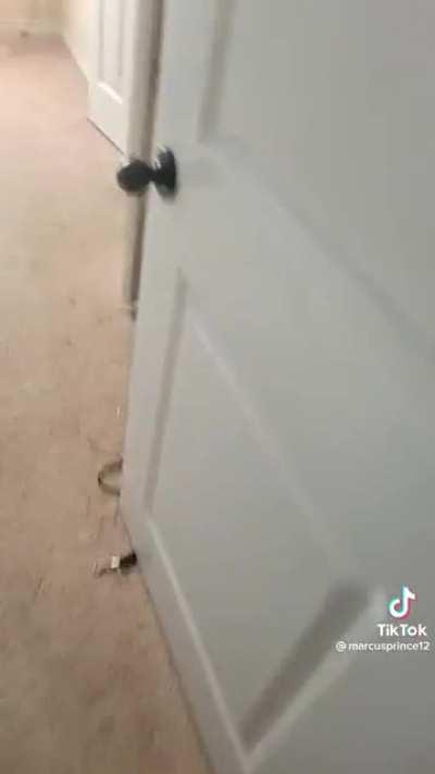 Proper ventilation could've prevented this