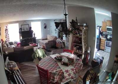 My Ring camera captured my fall from grace.