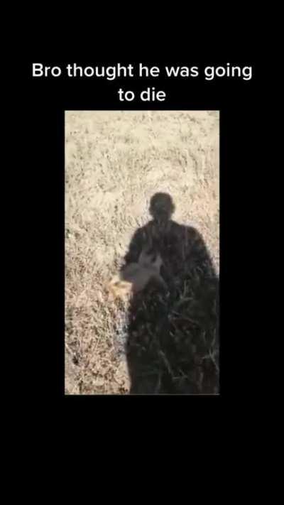 He was screaming for his life ð