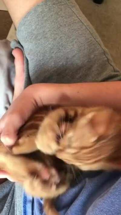 How is it possible to be this cute🥺