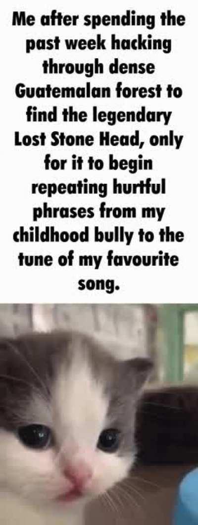 dumb dumb want gum gum