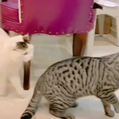 There is a new sheriff in town.