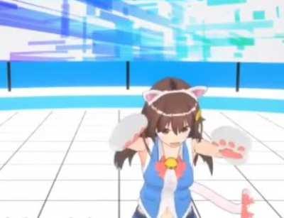 Sora-chan the Angry Cat