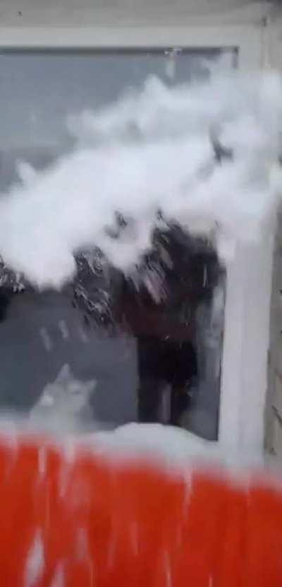 my cat likes it when I throw snow at her window.