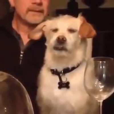 &ldquo;Oh god, Dave's telling this story again.&rdquo;