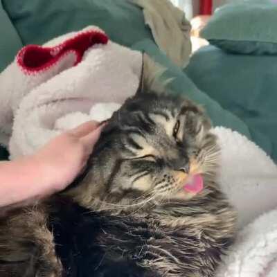 It’s this derps birthday today. Happy Bleppin’ Birthday, Bubz!