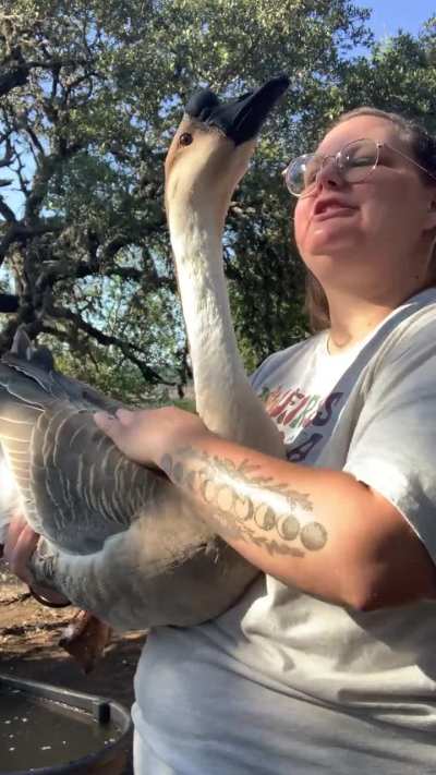 Meet Colonel! Displaced by the July 4th Flood, Rescued by Us 🥰 He’s Convinced I’m His Ladyfriend 😂❤️