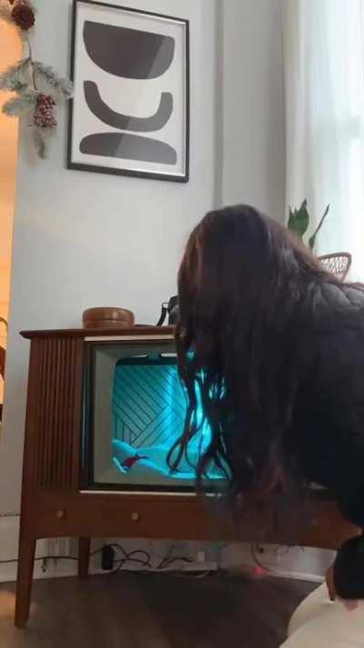 Old television turned into a cat bed