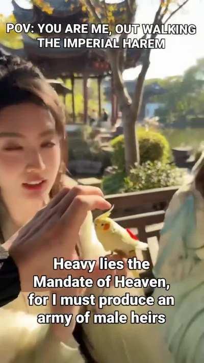 Is Being a Solitary Ascetic Dao Lord Really Worth It?