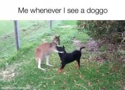 Love is a beautiful thing