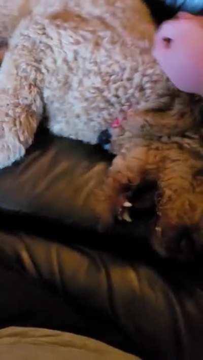 Can't stop until he decides you should