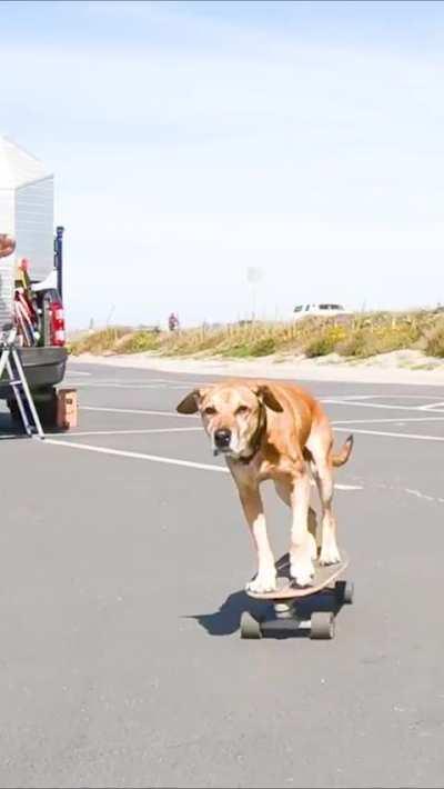 his skateboarding is amazing