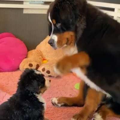 I just wanna hug them