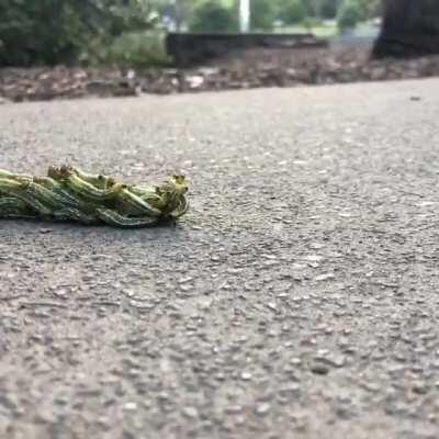 It’s called a Nope Cluster.