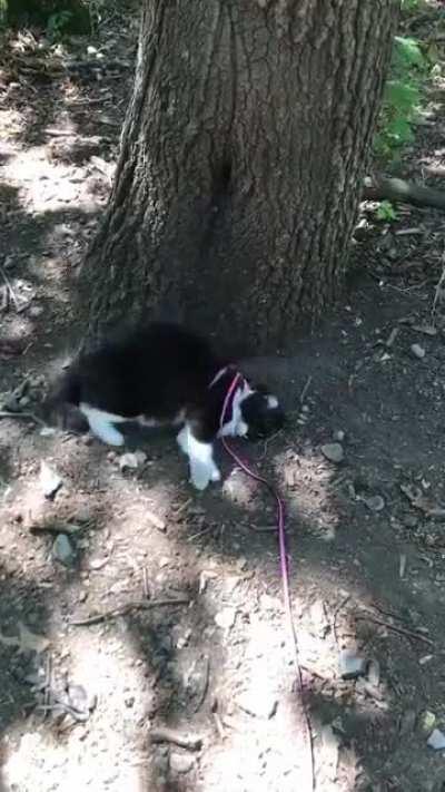 We had a very productive walk