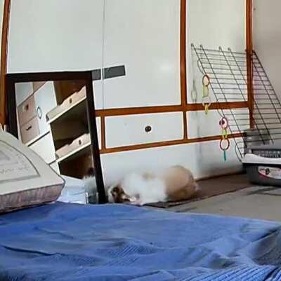 Another busy morning 👅