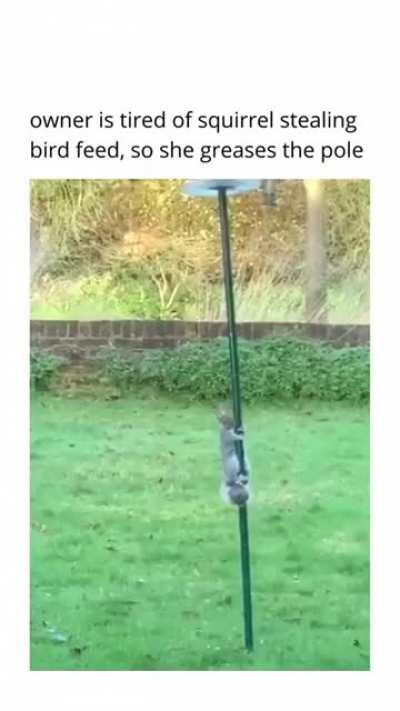 So close but yet so far