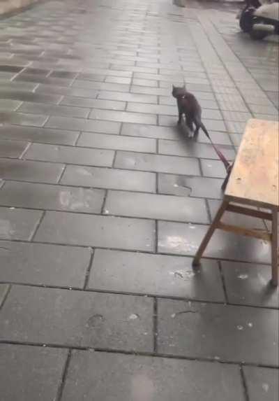 Like it's gonna stop me