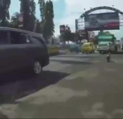 Not sure if this has been posted here before, but here is a nice compilation of monkeys.