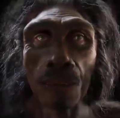 The theory of evolution