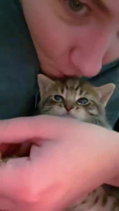 Fearful and Angy Smol, learns to love hooman contact