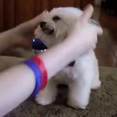 A friendly gentleman is a lovely creature