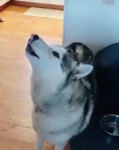 Raaaaaaaaawwwrrrrr....