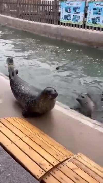 That's what I'm saying!