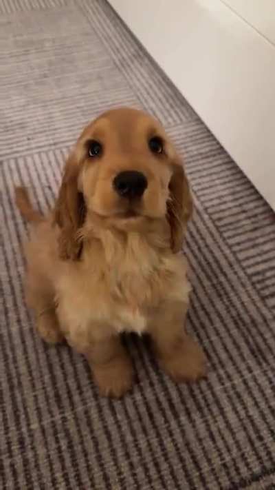 She knows what she's doing