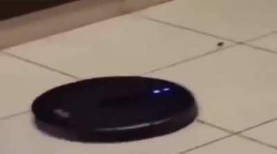 Top 10 Anime battles