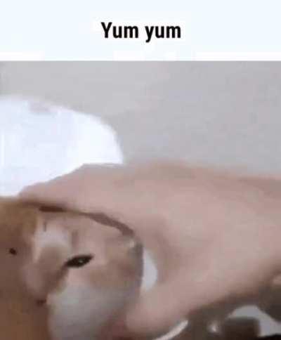 Cat Dumpling: +25 HP, +5 Strength, 50% better loot from Felines for 1 hour