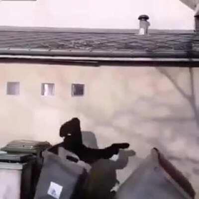 Коротко о жизни после Универа