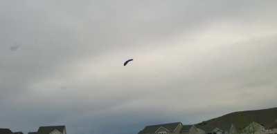 Flying a kite on back of a fourwheeler