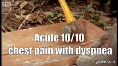 [shitpost] [meme] What I learned in Med School is.....