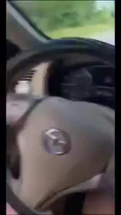 Guy throws a snake in car.