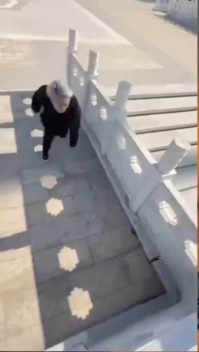 Just hope he's alive 
