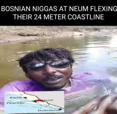 Bosanske Crncuge Kod neuma Fleksaju.