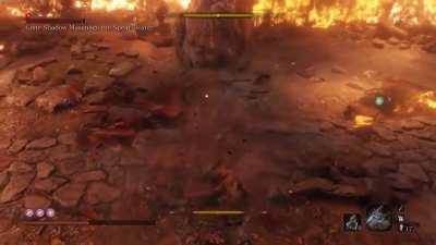 Hitbox Porn - This game's combat feels amazing