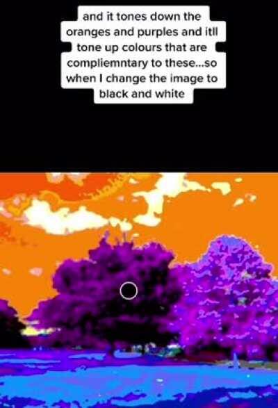 Our brains are very weird.